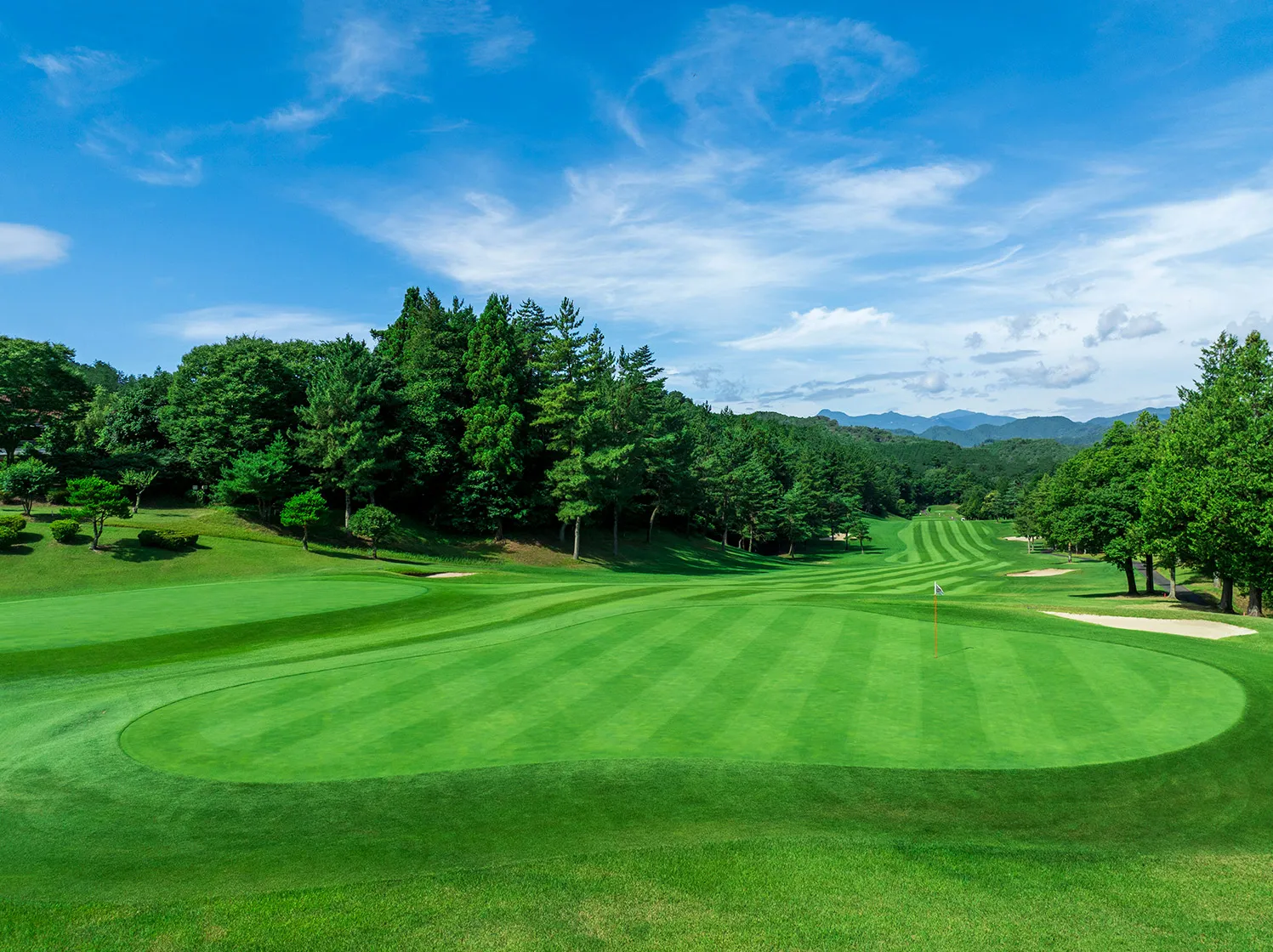 メインイメージ