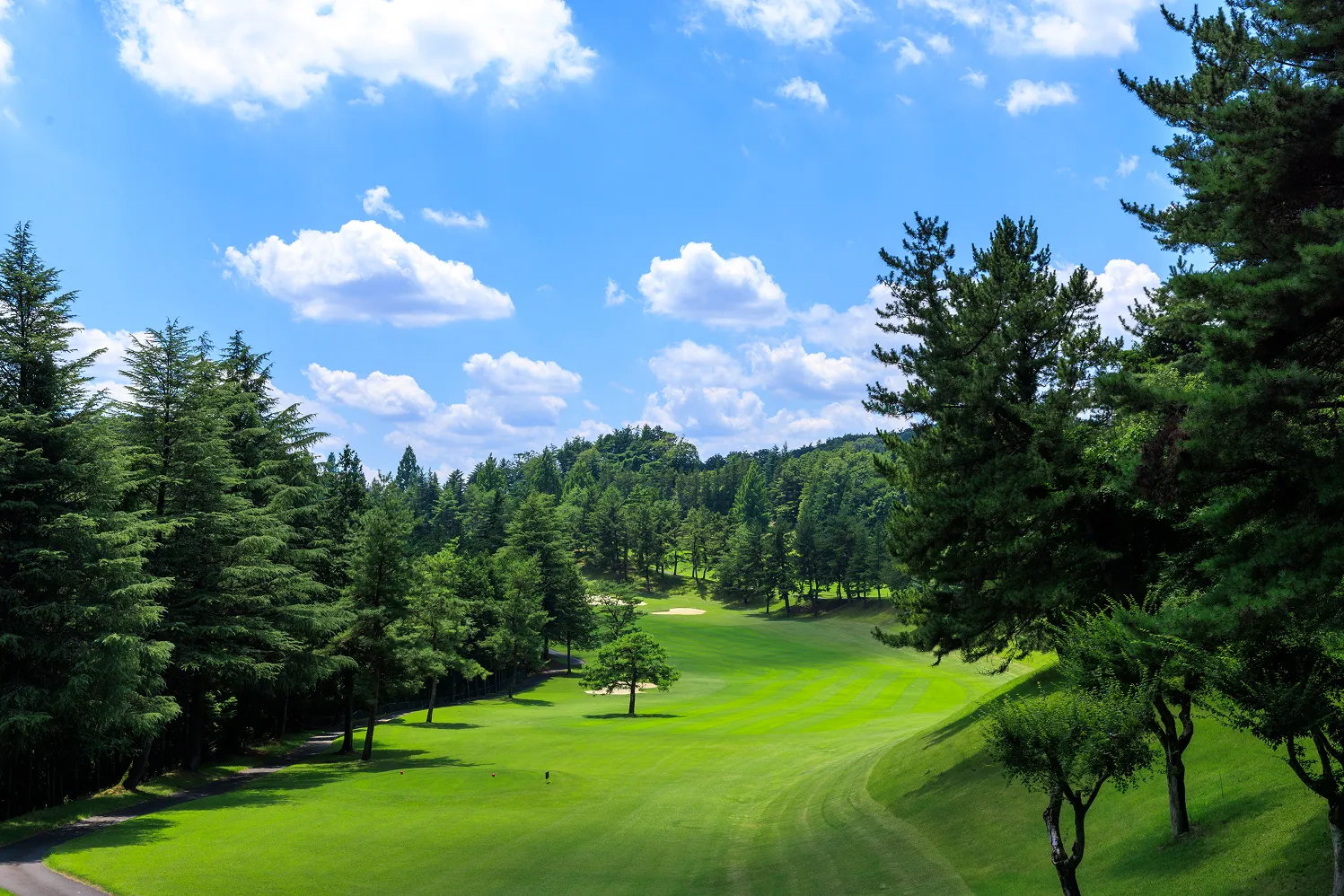 メインイメージ